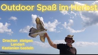 Outdoor Spaß im 🍁Herbst🍂 Drachen 🪁steigen🪁 Landart 🦔basteln mit 🌰Kastanien🌰 [upl. by Hbahsur]