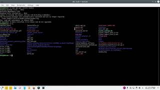 Exécuter un programme javascript sur Linux  debian [upl. by Breanne]