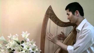 하프 연주 Cross Strung Harp Suo Gân A Welsh lullaby 자장가 ハープ演奏 豎琴演奏 harpe chromatique [upl. by Dibb]