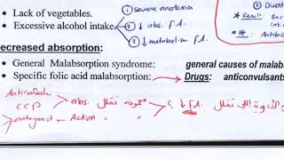 l7 megaloblastic anemia [upl. by Ethbin252]