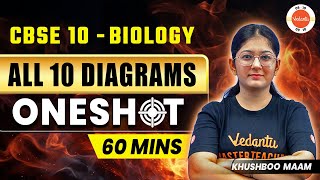 All quot10quot Diagrams of Class 10 Biology in One Shot  CBSE Board Exam 2024  Science [upl. by Brinn68]