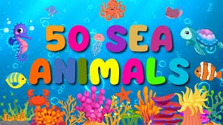 50 Sea Animals for Kids and Toddlers Learning  English Vocabulary  Kids Learning  BrainyBeams [upl. by Fabri]