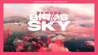 NewEra  Birds In The Sky [upl. by Ris]