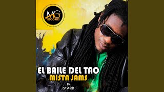 El Baile Del Tao [upl. by Htez]