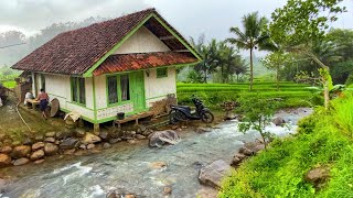 DIJAMIN BETAH😍 MENIKMATI HIDUP DI KAMPUNG YANG INDAH ALAM DESANYA SUASANANYA ADEM AYEM amp TENTRAM [upl. by Broida]