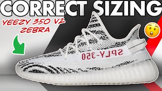 Sizing Guide for Yeezy 350 Zebra 2022  Watch before ordering the Yeezy 350 v2 Zebra shorts [upl. by Press]