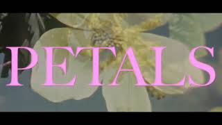 VOILÀ  Petals Official Lyric Video [upl. by Dallis319]