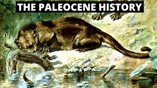 The Evolution Of The Paleocene Era [upl. by Walston]