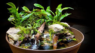 AWESOME Naturalistic Indoor Mini Pond  Giveaway [upl. by Senn576]