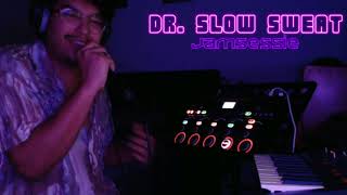 Dr Slow Sweat  Vakantie Jamsessie  Loopstation Gitaar Synth en MEER [upl. by Tnomed]