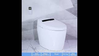 Modern Smart OnePiece 128 GPF Floor Mount Elongated Automatic Toilet amp Bidet with Seat [upl. by Thrasher355]