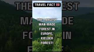 Explore Europe’s Largest ManMade Forest in the UK [upl. by Tawnya]