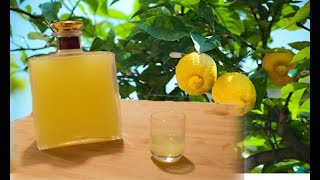 Homemade Limoncello  Italian lemon liqueur recipe [upl. by Benedetto]