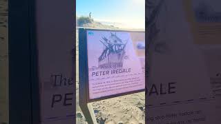 The Wreck of the Peter Iredale Wreckship shipwreck oregon wreck shorts [upl. by Neelie]