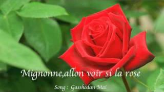 Mignonneallon voir si la rose Gasshodan MAI [upl. by Nnahteb910]