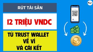 Hướng Dẫn Rút VNDC Từ Ví Trust Wallet Về Ví ONUS Trong 3 Phút [upl. by Enaoj]