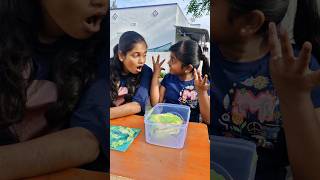 CAKE 🎂 cover life hack 😱TomampJerry 👍DiyaIshwarya shorts viralvideo [upl. by Ellened]