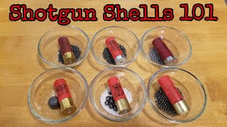 Shotgun Shells 101 [upl. by Lorsung]