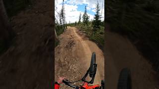 Epic Bike Park Flow Trail 💯 [upl. by Chantalle]