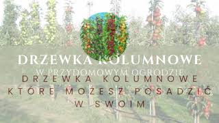 Drzewka kolumnowe w przydomowym ogrodzie [upl. by Slaughter609]