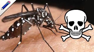 ZIKA 💀 Síntomas Tratamiento Contagio 💀 [upl. by Birecree]