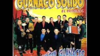 grupo guanaco solido sera mi suegra [upl. by Xela412]