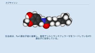 カプサイシン [upl. by Isaac]