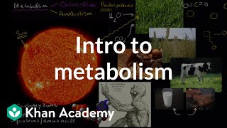 Introduction to metabolism anabolism and catabolism  Khan Academy [upl. by Hendry]