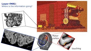 Renzo Huber Layer dependent VASO in the Visual system [upl. by Eelyahs]