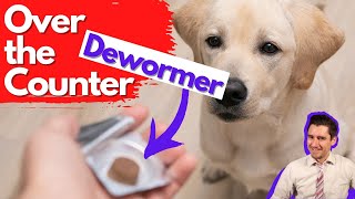 Over the Counter Dog Dewormer Dr Dan talks dewormers [upl. by Eelarat]