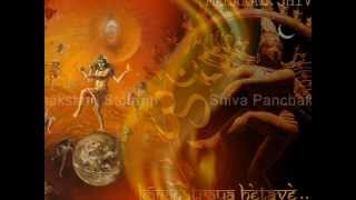 Nagendra haraya trilochanaya Amazing Shiva Panchakshari Stotram [upl. by Dorothi465]