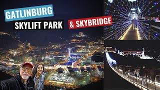 Gatlinburg Skylift Park and Skybridge at night Christmas in the Great Smoky Mountains [upl. by Joseph]