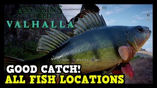 Assassins Creed Valhalla All Fish Locations Good Catch Trophy  Achievement Guide [upl. by Raine818]