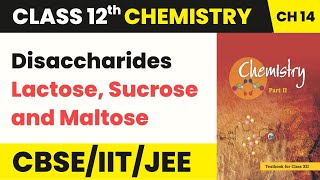 Class 12 Chemistry Chapter 14  Disaccharides Lactose Sucrose and Maltose  Biomolecules 202223 [upl. by Mashe]