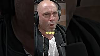 Joe Rogan’s BEEF With Buffaloes 😂 [upl. by Browning]