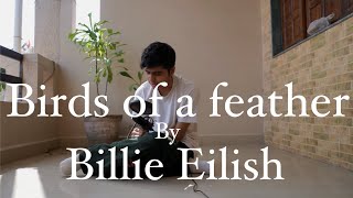 Birds Of A Feather By Billie Eilish  cover   acoustic cover   lyrics video [upl. by Fleisig]