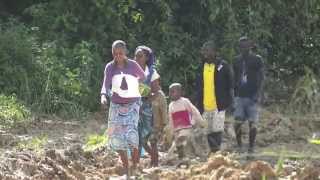 Passage du Bac à Mbindzo Ouesso Ouesso  Congo [upl. by Moshe]