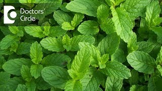 Is it true mint helps in hair reduction in women with PCOS  Dr Chetali Samant [upl. by Eivla]