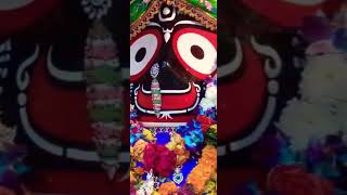 Aji marigale kaliki didina jagannatha song trendingshorts whatsappstatus odiabhajan bhajan [upl. by Ayeki]