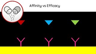 Affinity vs Efficacy  Drug action revision video agonists antagonists  GCSE A Level University [upl. by Atinar925]