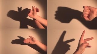 How To Make Shadow Puppets With Your Hand [upl. by Mcconnell]