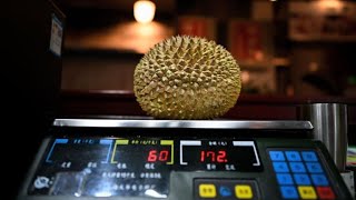 Chinese hunger for durians threatens Malaysian rainforests [upl. by Quennie]