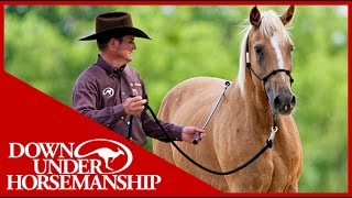 Clinton Anderson Training a Rescue Horse Part 3  Downunder Horsemanship [upl. by Hesky]