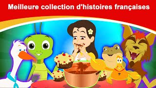 Meilleure collection dhistoires françaises  Histoire Pour Sendormir  Contes De Fées  Histoire [upl. by Storm]