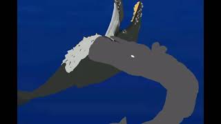 DCBA humpback whale vs sperm whale [upl. by Nahtal]