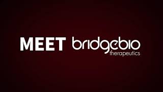 BIO 2022 Bridge Biotherapeutics official teaser [upl. by Naginnarb]