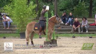 Working Equitation  Deutsche Meisterschaft 2019  Johanna Ueltzen auf Anton in Speed Trail [upl. by Sikes]