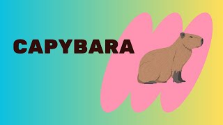 CAPYBARA [upl. by Hughie566]