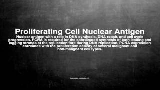 Medical vocabulary What does Proliferating Cell Nuclear Antigen mean [upl. by Eilac]