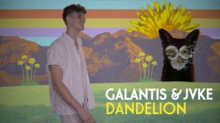 Galantis amp JVKE  Dandelion Official Lyric Video [upl. by Petrie884]